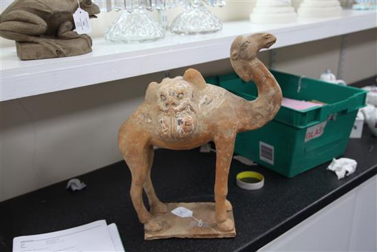 A Chinese painted pottery standing figure of a Bactrian camel, Tang dynasty (618-906AD),